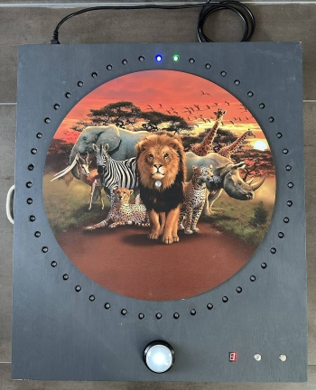 Reactiespel safari